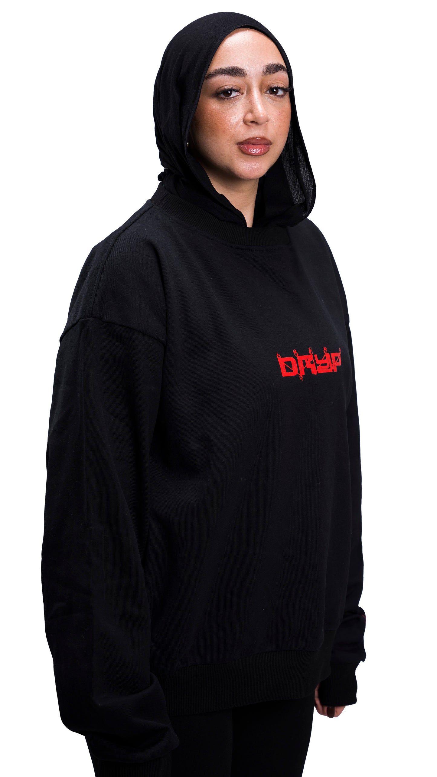 The Investigator’s Map